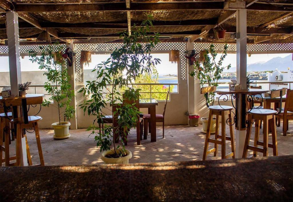 Golden Europe Hotel Dahab Ngoại thất bức ảnh